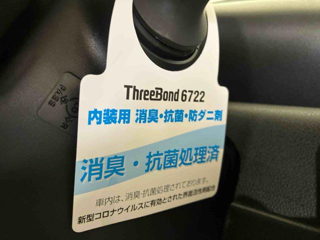 タントX(車内 消臭・抗菌 処理済) 衝突被害軽減システム 4WD 片側パワースライドドア バックカメラ キーフリーシステム(新潟県)の中古車