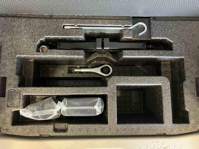 タントＸ（車内　消臭・抗菌　処理済）　片側パワースライドドア　ナビ　バックカメラ　キーフリーシステム（新潟県）の中古車