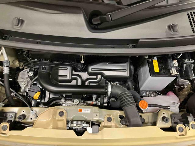 ムーヴキャンバスセオリーＧ（車内　消臭・抗菌　処理済）　衝突被害軽減システム　４ＷＤ　両側パワースライドドア　バックカメラ　キーフリーシステム（新潟県）の中古車