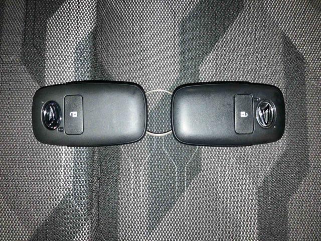 タフトＧ　ダーククロムベンチャー（車内　消臭・抗菌　処理済）　衝突被害軽減システム　４ＷＤ　バックカメラ　アルミホイール　キーフリーシステム（新潟県）の中古車