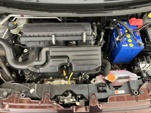 ミラトコットＸ　ＳＡIII（車内　消臭・抗菌　処理済）　衝突被害軽減システム　ナビ　バックカメラ　キーフリーシステム（新潟県）の中古車