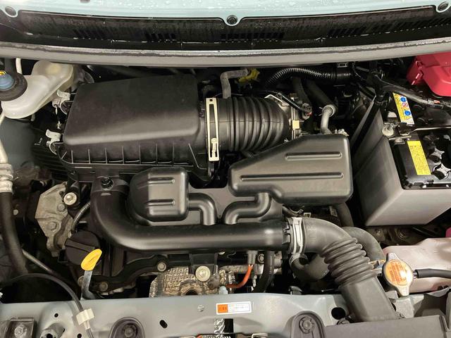 タフトG(車内 消臭・抗菌 処理済) 衝突被害軽減システム バックカメラ アルミホイール キーフリーシステム(新潟県)の中古車