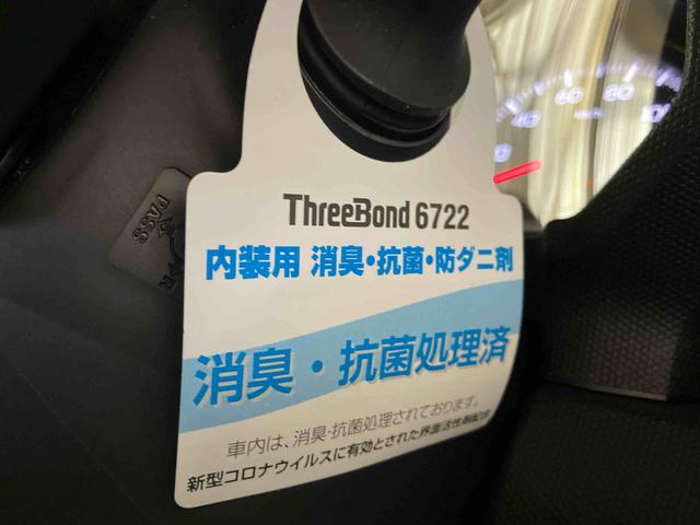 タフトG(車内 消臭・抗菌 処理済) 衝突被害軽減システム バックカメラ アルミホイール キーフリーシステム(新潟県)の中古車