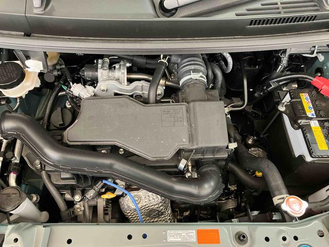 トールＧ（車内　消臭・抗菌　処理済）　衝突被害軽減システム　４ＷＤ　両側パワースライドドア　バックカメラ　キーフリーシステム（新潟県）の中古車