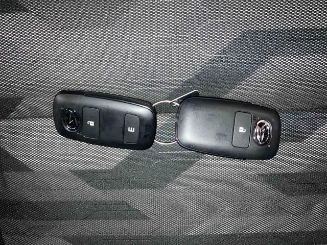 タフトG(車内 消臭・抗菌 処理済) 衝突被害軽減システム ナビ パノラマモニター アルミホイール キーフリーシステム(新潟県)の中古車