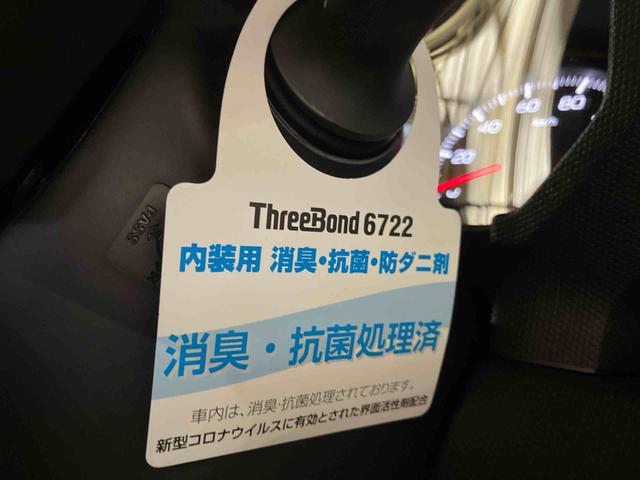 タフトG(車内 消臭・抗菌 処理済) 衝突被害軽減システム ナビ パノラマモニター アルミホイール キーフリーシステム(新潟県)の中古車