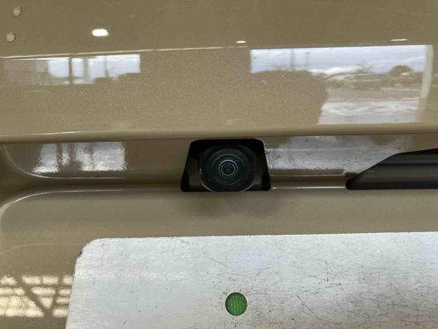 タフトX(車内 消臭・抗菌 処理済) 衝突被害軽減システム バックカメラ キーフリーシステム(新潟県)の中古車