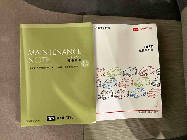 キャストスタイルＸ（車内　消臭・抗菌　処理済）　ナビ　キーフリーシステム（新潟県）の中古車
