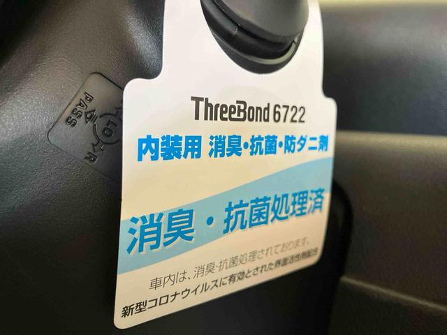 タントＸ（車内　消臭・抗菌　処理済）　衝突被害軽減システム　片側パワースライドド　バックカメラ　キーフリーシステム（新潟県）の中古車