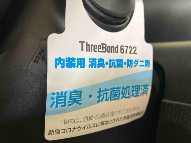 タントＸ（車内　消臭・抗菌　処理済）　衝突被害軽減システム　片側パワースライドドア　バックカメラ　キーフリーシステム（新潟県）の中古車