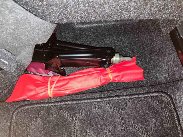 ロッキーＧ（車内　消臭・抗菌　処理済）　衝突被害軽減システム　アダプティブクルーズコントロール　ナビ　バックカメラ　アルミホイール　キーフリーシステム（新潟県）の中古車