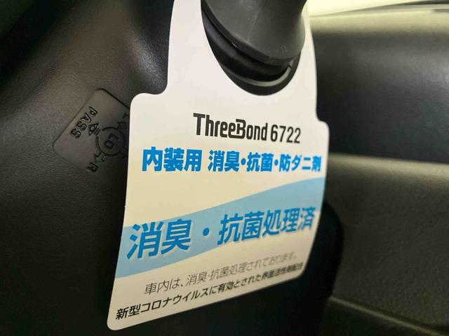 タントX(車内 消臭・抗菌 処理済) 衝突被害軽減システム 片側パワースライドドア バックカメラ キーフリーシステム(新潟県)の中古車