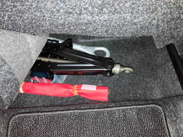 ロッキープレミアムＧ（車内　消臭・抗菌　処理済）　衝突被害軽減システム　アダプティブクルーズコントロール　ディスプレイオーディオ　パノラマモニター　アルミホイール　キーフリーシステム（新潟県）の中古車