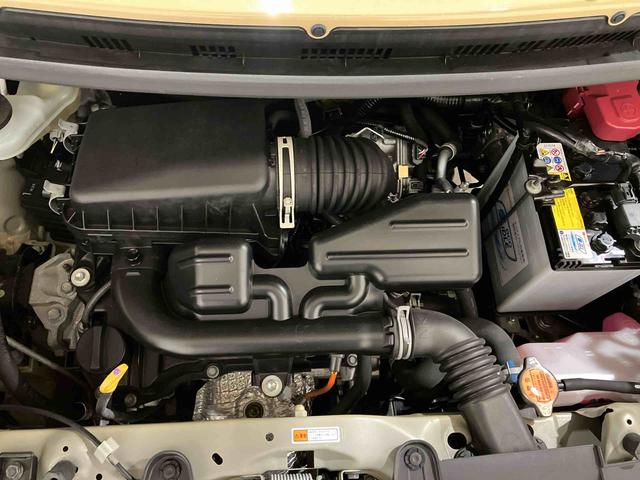 タフトＸ（車内　消臭・抗菌　処理済）　衝突被害軽減システム　ナビ　バックカメラ　キーフリーシステム（新潟県）の中古車