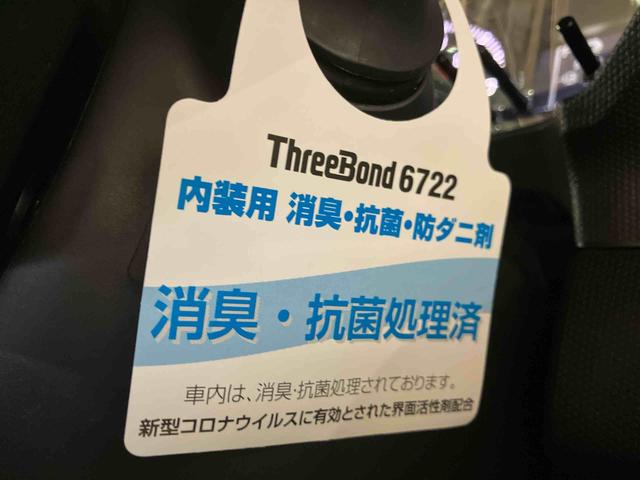 タフトＸ（車内　消臭・抗菌　処理済）　衝突被害軽減システム　ナビ　バックカメラ　キーフリーシステム（新潟県）の中古車