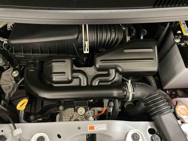 タントＸ（車内　消臭・抗菌　処理済）　衝突被害軽減システム　４ＷＤ　片側パワースライドドア　バックカメラ　キーフリーシステム（新潟県）の中古車