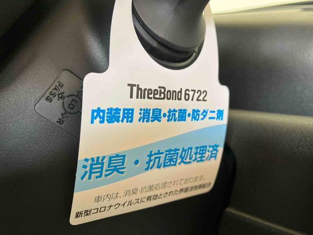 タントＸ（車内　消臭・抗菌　処理済）　衝突被害軽減システム　片側パワースライドドア　バックカメラ　キーフリーシステム（新潟県）の中古車