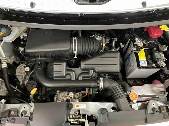 タフトＸ（車内　消臭・抗菌　処理済）　衝突被害軽減システム　ナビ　パノラマモニター　キーフリーシステム（新潟県）の中古車