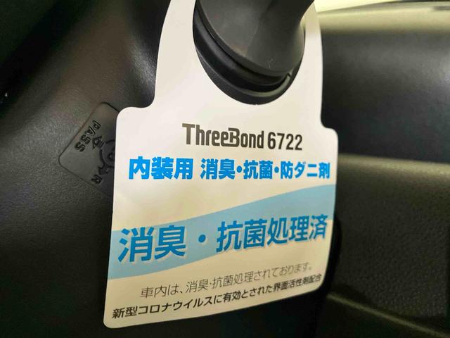 タントＸ（車内　消臭・抗菌　処理済）　衝突被害軽減システム　片側パワースライドドア　バックカメラ　キーフリーシステム（新潟県）の中古車