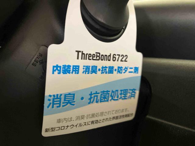 タントＸ（車内　消臭・抗菌　処理済）　衝突被害軽減システム　片側パワースライドドア　バックカメラ　キーフリーシステム（新潟県）の中古車