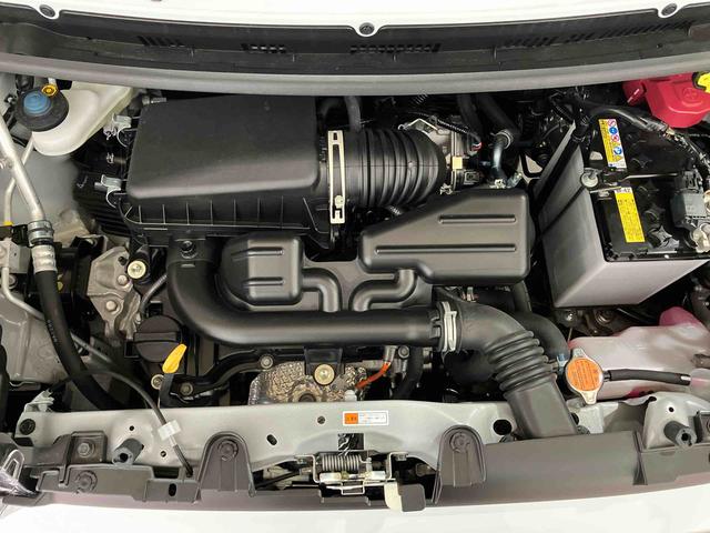 タフトＧ（車内　消臭・抗菌　処理済）　衝突被害軽減システム　アダプティブクルーズコントロール　バックカメラ　アルミホイール　キーフリーシステム（新潟県）の中古車