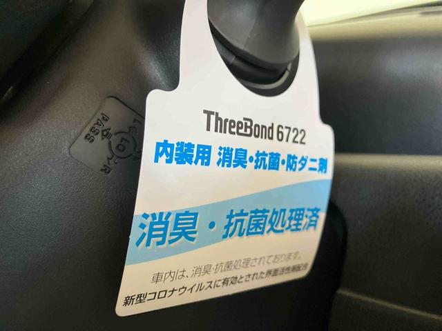 タントＸ（車内　消臭・抗菌　処理済）　衝突被害軽減システム　両側パワースライドドア　バックカメラ　キーフリーシステム（新潟県）の中古車