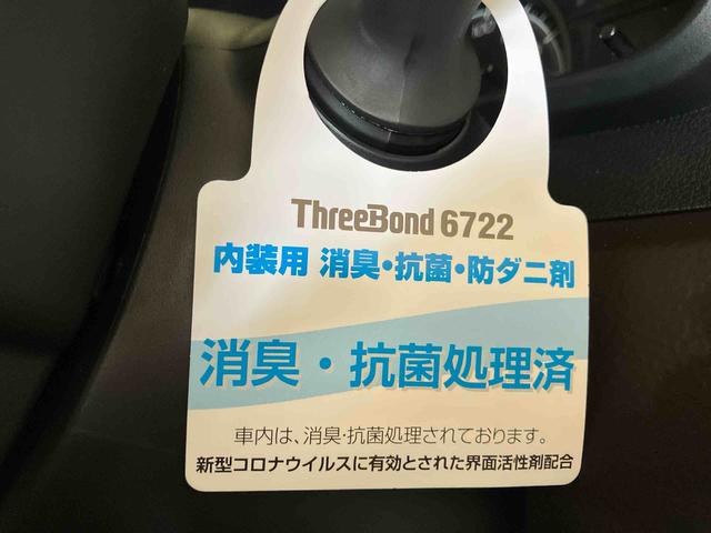 トールX(車内 消臭・抗菌 処理済) 衝突被害軽減システム 4WD 片側パワースライドドア ディスプレイオーディオ バックカメラ キーフリーシステム(新潟県)の中古車