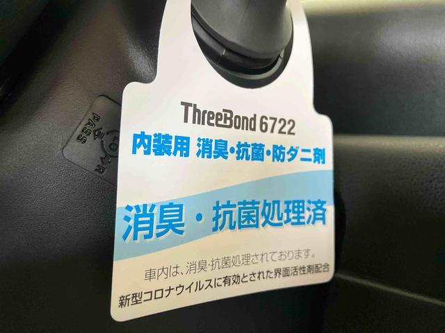 タントX(車内 消臭・抗菌 処理済) 衝突被害軽減システム 両側パワースライドドア バックカメラ キーフリーシステム(新潟県)の中古車