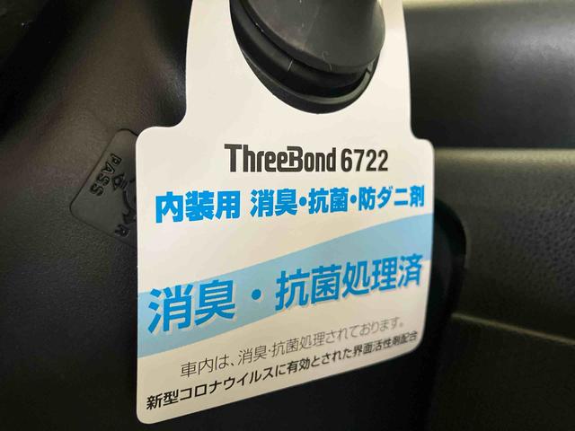 タントＸ（車内　消臭・抗菌　処理済）　衝突被害軽減システム　４ＷＤ　片側パワースライド　キーフリーシステム（新潟県）の中古車