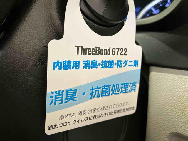 キャストスタイルＸ（車内　消臭・抗菌　処理済）　４ＷＤ　ナビ　バックカメラ　キーフリーシステム（新潟県）の中古車