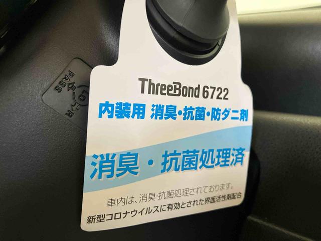 タントＸ（車内　消臭・抗菌　処理済）　衝突被害軽減システム　４ＷＤ　片側パワースライドドア（新潟県）の中古車