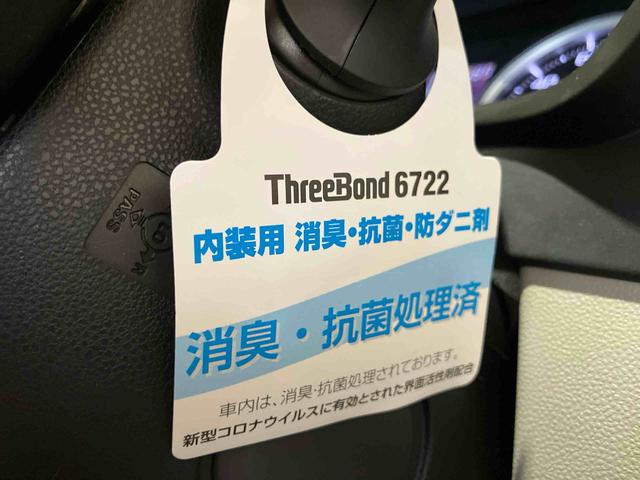 キャストスタイルX リミテッド SAIII(車内 消臭・抗菌 処理済) 衝突被害軽減システム ナビ バックカメラ キーフリーシステム(新潟県)の中古車
