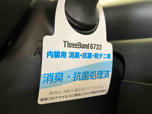 タントＸ（車内　消臭・抗菌　処理済）　衝突被害軽減システム　４ＷＤ　両側パワースライドドア　バックカメラ　キーフリーシステム（新潟県）の中古車