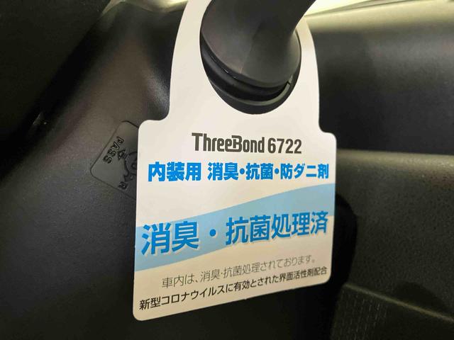 タントＸ（車内　消臭・抗菌　処理済）　衝突被害軽減システム　４ＷＤ　片側パワースライドドア　バックカメラ　キーフリーシステム（新潟県）の中古車