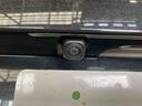 （車内　消臭・抗菌　処理済）　衝突被害軽減システム　両側パワースライドドア　バックカメラ　キーフリーシステム（新潟県）の中古車