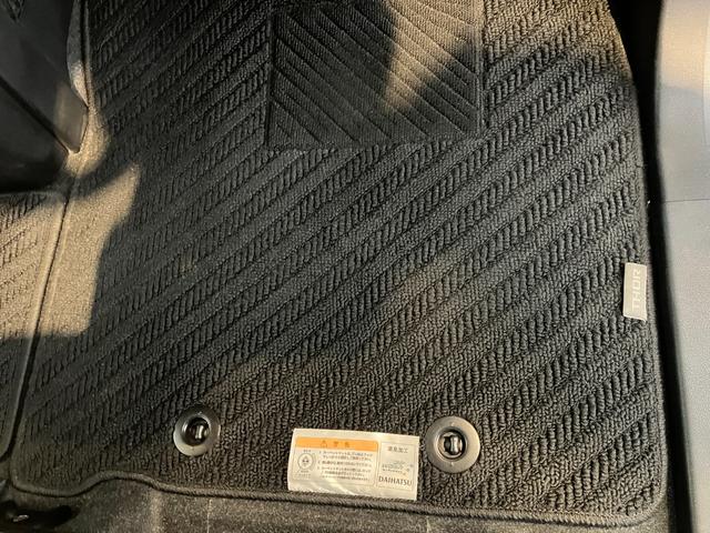 トールＸ　ＳＡII　ナビ／ＥＴＣ／ドラレコワンオーナー　純正ナビ　純正ＥＴＣ　純正ドライブレコーダー　バックカメラ　Ｂｌｕｅｔｏｏｔｈ接続　左側パワースライドドア　ハロゲンヘッドライト　スマアシＩＩ　電動格納ミラー　スマートキー（香川県）の中古車