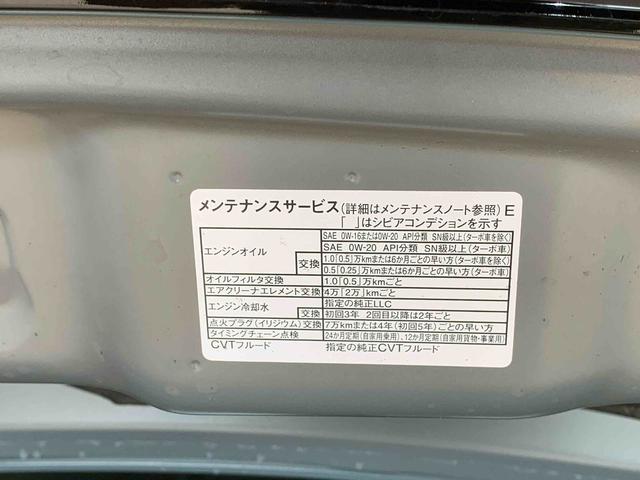 タントファンクロス　保証付き（静岡県）の中古車