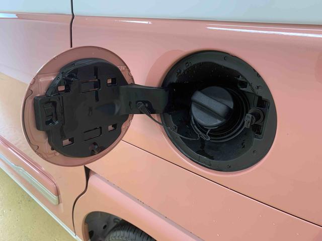 ムーヴキャンバスストライプスＧ　保証付き（静岡県）の中古車