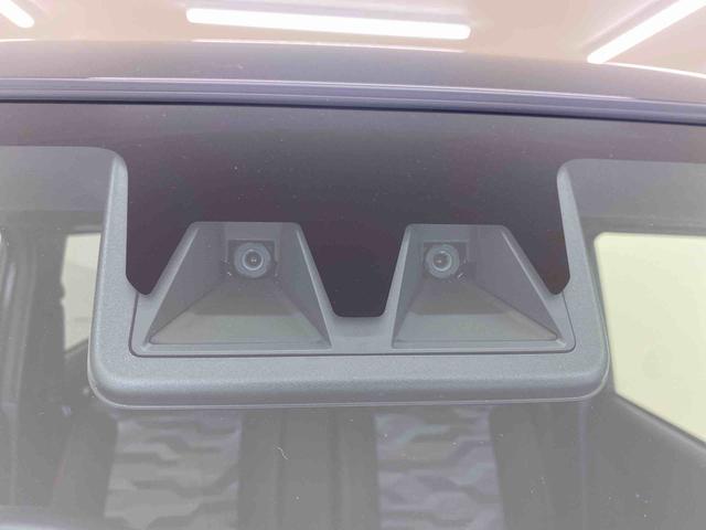 タフトＧ　保証付き（静岡県）の中古車