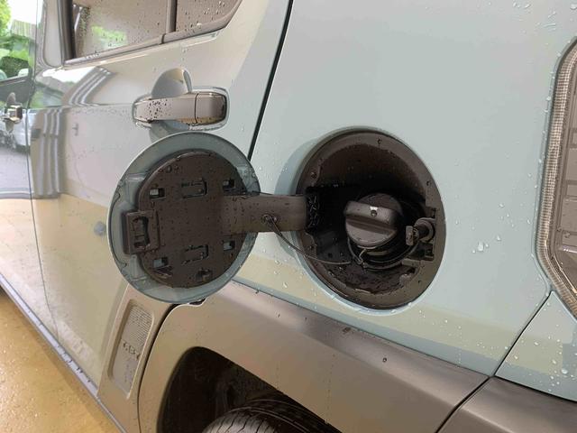 タフトＧ　ダーククロムベンチャー　保証付き（静岡県）の中古車