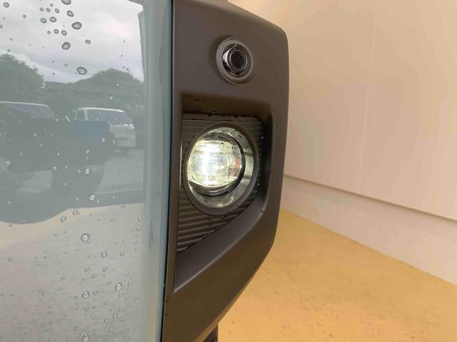タフトＧ　ダーククロムベンチャー　保証付き（静岡県）の中古車