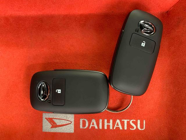 タフトＧ　ダーククロムベンチャー　保証付き（静岡県）の中古車