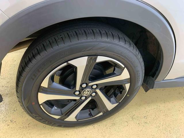 ライズＺ　ＥＴＣ　保証付きナビ　バックカメラ（静岡県）の中古車