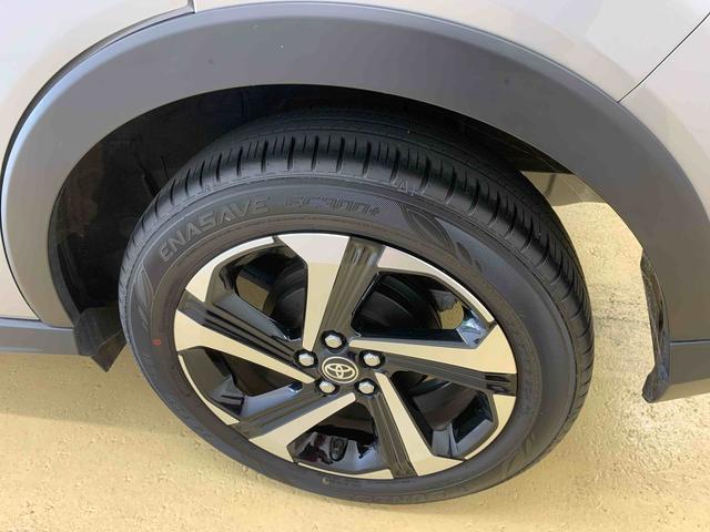 ライズＺ　ＥＴＣ　保証付きナビ　バックカメラ（静岡県）の中古車