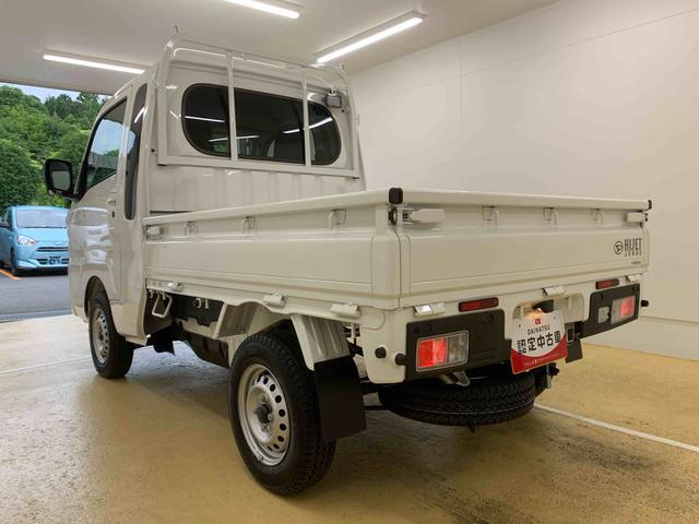 ハイゼットトラックジャンボエクストラ　５ＭＴ　保証付き（静岡県）の中古車