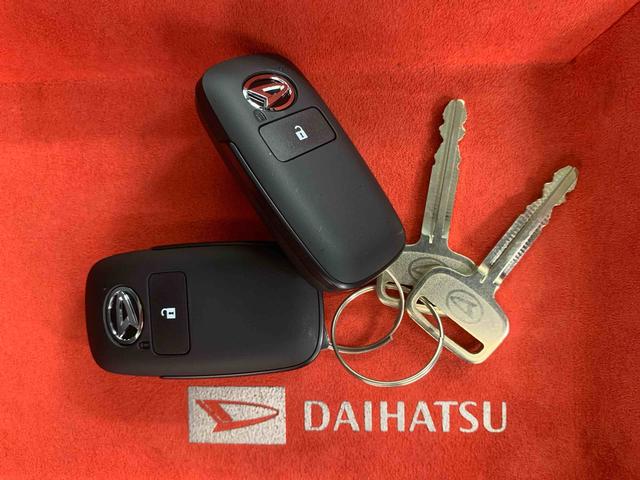 ハイゼットトラックジャンボエクストラ　５ＭＴ　保証付き（静岡県）の中古車