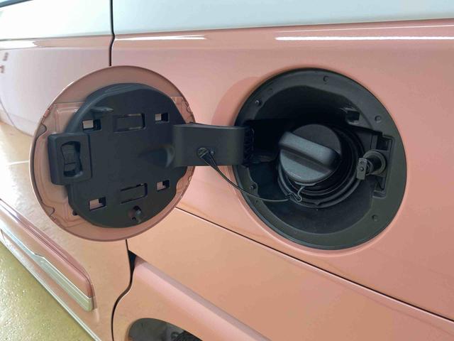 ムーヴキャンバスストライプスＧ　保証付き（静岡県）の中古車