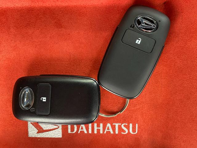 タフトＧターボ　どられこ保証付きＥＴＣ　ナビ　バックカメラ（静岡県）の中古車