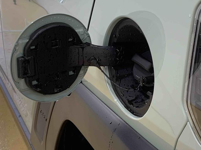 タフトＧ　ダーククロムベンチャー　保証付き（静岡県）の中古車