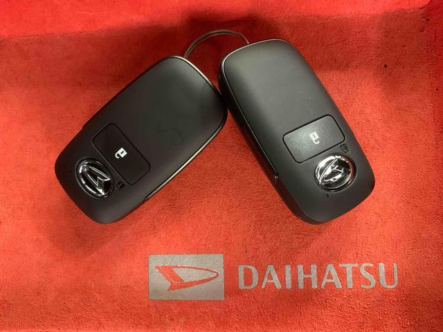 タフトＧ　ダーククロムベンチャー　保証付き（静岡県）の中古車